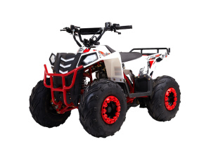 Квадроцикл ATV WELS TUKAH 110