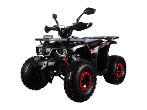 Avantis Hunter 8 New Premium 2024