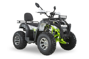 Квадроцикл ATV R-moto Lion 200 Lite