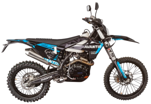 Мотоцикл Avantis Enduro 250 EFI Exclusive (PR300/175FMM) ARS (2024)