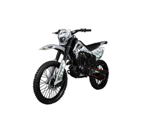 Мотоцикл Avantis Enduro 300 PRO EFI Exclusive (NC300-S/182MM) ARS (2024)